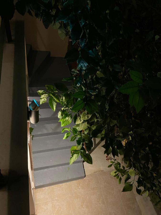 Maria'S Haus In Artemida Apartment Exterior photo